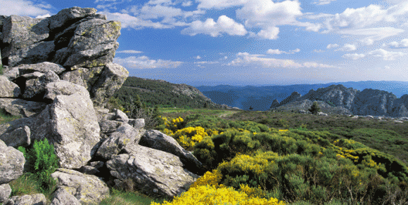 Haut-Languedoc - Hérault, le Languedoc © Henri COMTE