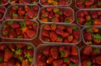 Marché de Ganges, fraises - Hérault, le Languedoc © Photothèque Hérault Tourisme - Hélène Cadeau 
